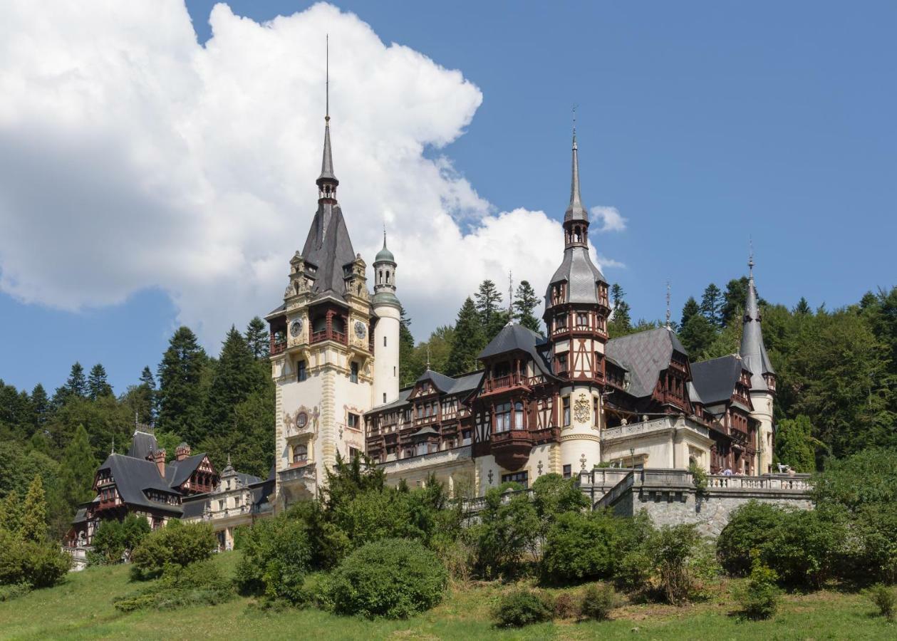 Apartament Mont Blanc Sinaia Kültér fotó